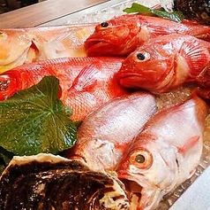 博多ほたる 麻布十番店の写真