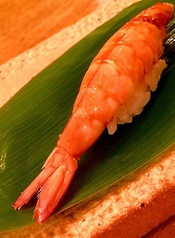 しらさ海老