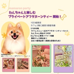 ママロンパーティー 新宿御苑前店のコース写真