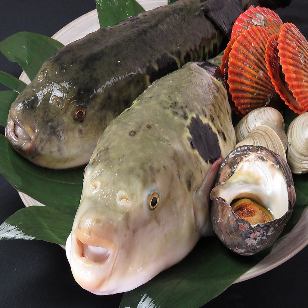 活！ふぐ料理もお楽しみいただけます！