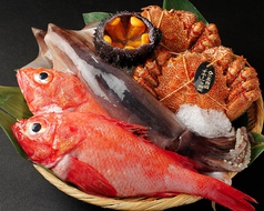 北海道料理 ユック 銀座店イメージ