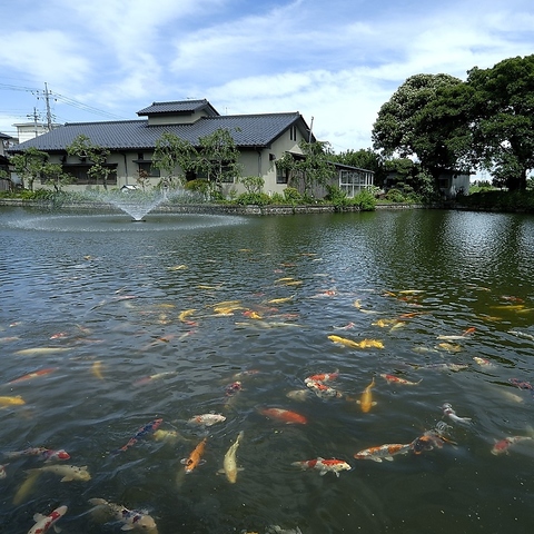 150年続く老舗うなぎ屋。錦鯉のいる大きな池と噴水に癒されながら伝統の味を堪能！