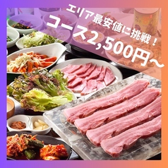≪本格韓国料理とサムギョプサル≫食べ放題コースは2,500(税込)から！の写真