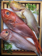 本日の旬のお魚の煮付け