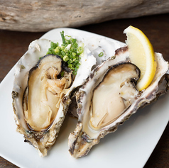 新鮮：極上の牡蠣