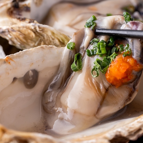 RAKUGAKI NKL ֓ lX^WAX