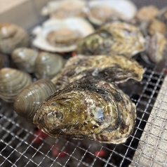 海鮮 ろばた 原始焼 啖 くらの特集写真