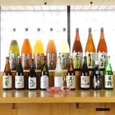 全国各地の地酒、旬の果実酒もご用意◎
