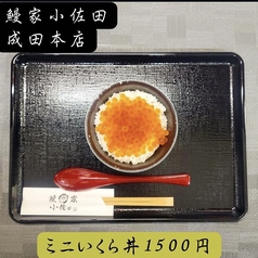 ミニいくら丼(50g)