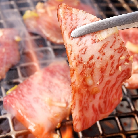 �a������ �O�{�X