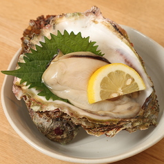 特選岩カキ(特大、生食用)