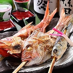 金目鯛