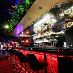 ゆっくりとお酒を楽しめるBarカウンター♪ほぼ360度の大型カウンターで、目の前には様々なお酒が!装飾も海賊仕様なので、見ていて飽きません★バーテンダーの軽快なトークでお客様に楽しんで頂いております♪