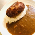 料理メニュー写真&nbsp;ハンバーグカレー シングル (150g×1)