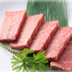 ハネシタ