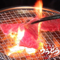 焼肉 ホルモン 小倉うらどらの特集写真
