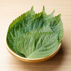 包み野菜 エゴマの葉