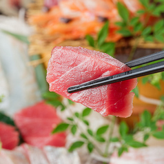 まぐろや平目など獲れたて鮮魚を美味しく味わう