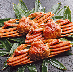 銀座 四海 -よつみ- 極上海鮮ビュッフェダイニング の写真2
