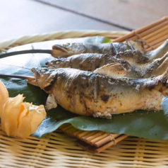 天然友釣り鮎丸かじり【子持ち】9月ころから