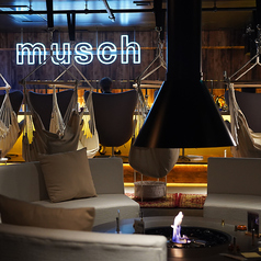 musch