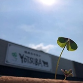 焼肉ホルモンYOTSUBA～四つ葉～の雰囲気3
