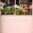 bloom&brew ブルームアンドブリューのロゴ