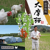 【新鮮な鶏が刺身が一番旨い！】鹿児島が誇る「さつま極鶏 大摩桜（さつまきわみどり だいまおう）」は地鶏を凌駕する肉味・食感でまさに究極の鶏肉。厚み、弾力、コシが特徴です。当店ではそんな自慢の地鶏を＜お造り＞＜焼きしゃぶ＞でご堪能いただけます！