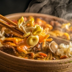 裏の山の木の子　梅田の特集写真