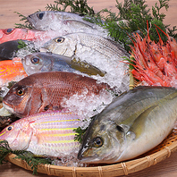 市場直送の新鮮な魚を贅沢に。素材の旨味を存分に。
