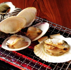 意咲屋 一 いざかや はじめの特集写真
