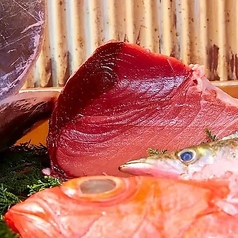 吉祥寺まぐろ人 Moguraの写真3