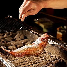 ハチ鶏 大曽根駅店の特集写真