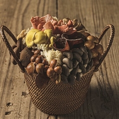 裏の山の木の子　梅田の特集写真