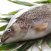 海鮮個室酒場 伊まり 大通駅前店のおすすめ料理2