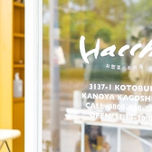 Hacchi ハッチの雰囲気2