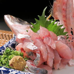 産地直送！その日の鮮魚たち！！