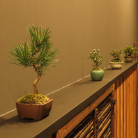 盆栽が彩る和の空間は料理に合わせた洋楽が流れる隠れ家