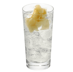 寿司屋のがりハイ