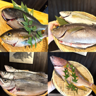 抜群な鮮度の秘訣は店主自ら釣って調理しているから！