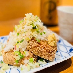 手作り厚揚げ たっぷり薬味と出汁醤油
