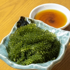 海ぶどう