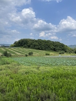 美作市　岩谷農場