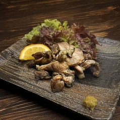 【親鶏の新常識】宮崎種鶏親鶏の炭火焼き