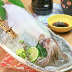 呼子直送!〆イカの姿造り
