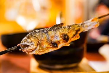 熊本炉端イタリアンと自然派ワイン イルフォのおすすめ料理1