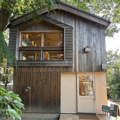 FRUITS FOREST t[ctHXg