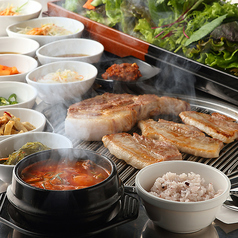 炭火焼サムギョプサル専門店 やさい村大地 札幌大通店のコース写真