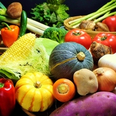 農家さんが一から育てた新鮮野菜を市場を通さず直接仕入れ！だから美味しい！だから安心！