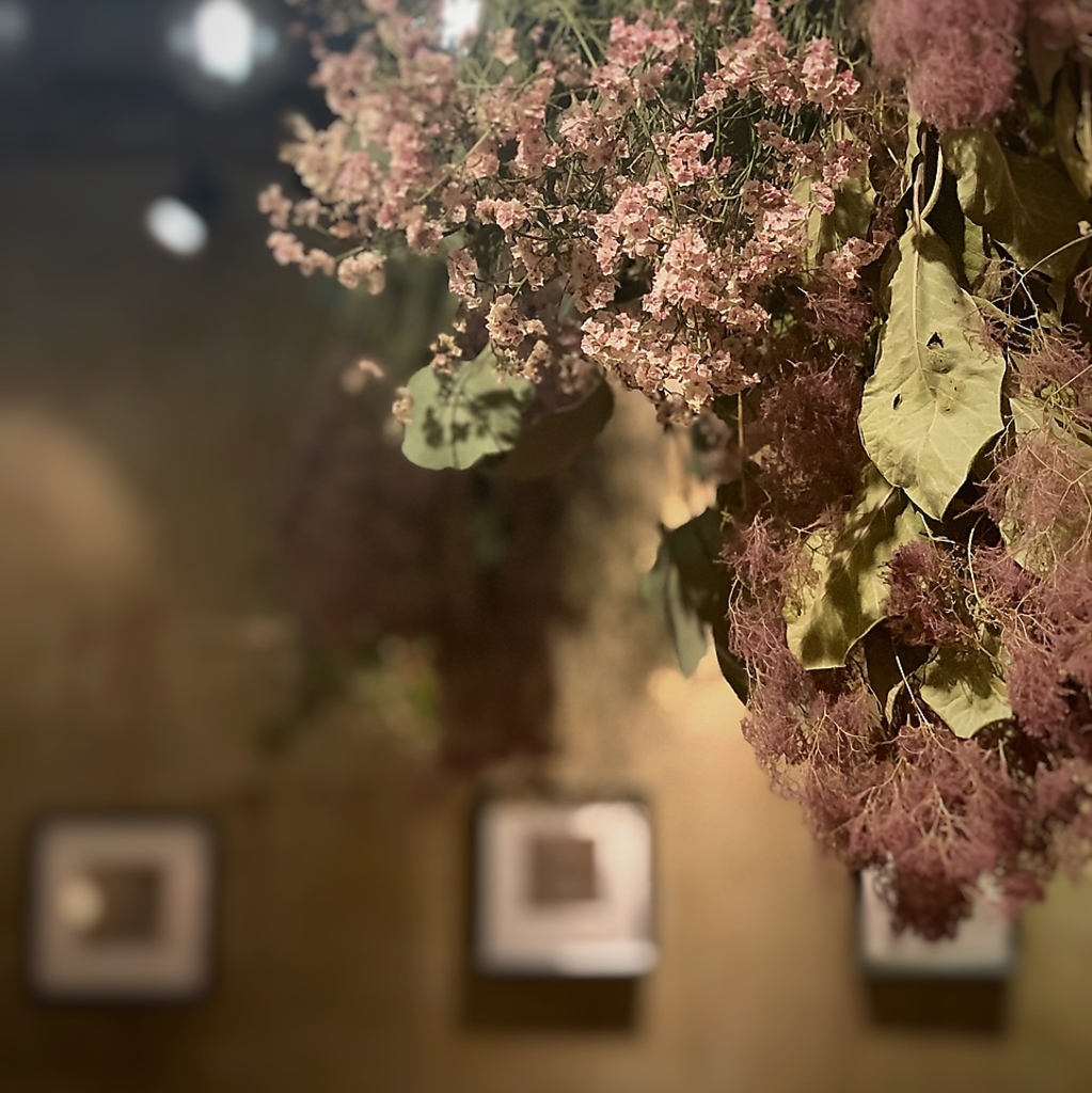 名駅から徒歩5分の「ピッツェリア＆イタリアン」店内にはたくさんのドライフラワーで飾られてます